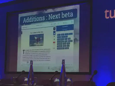Slide showing the Turnitin next essay marking view