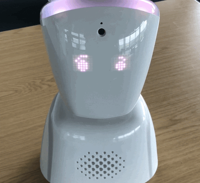 &ldquo;An animated GIF showing the robot&rsquo;s happy and questioning facial expressions.&quot;